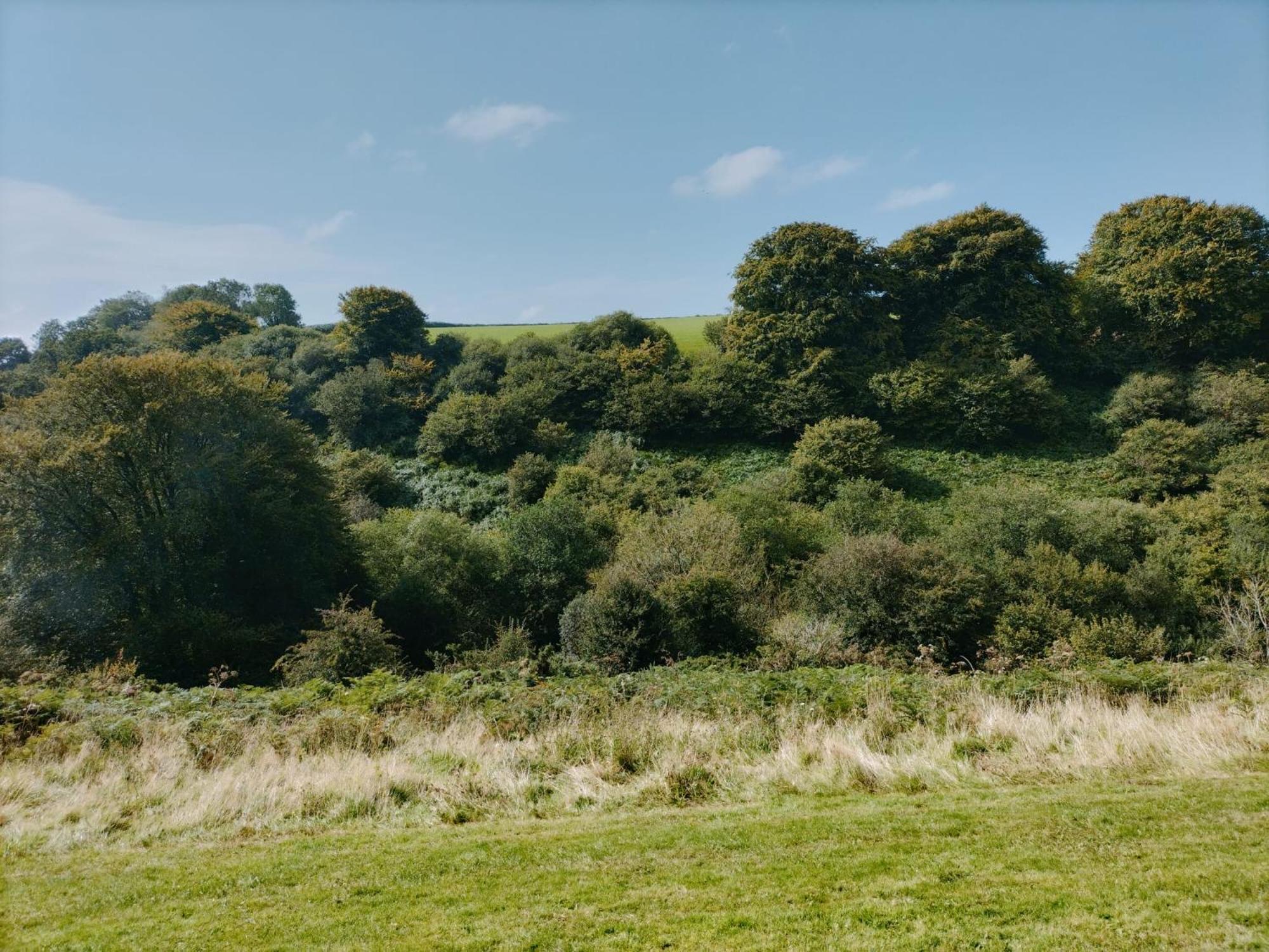 22 Stowford Gardens Combe Martin Apartment Екстериор снимка
